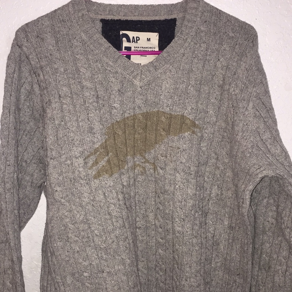 Gap Sweater Preowned